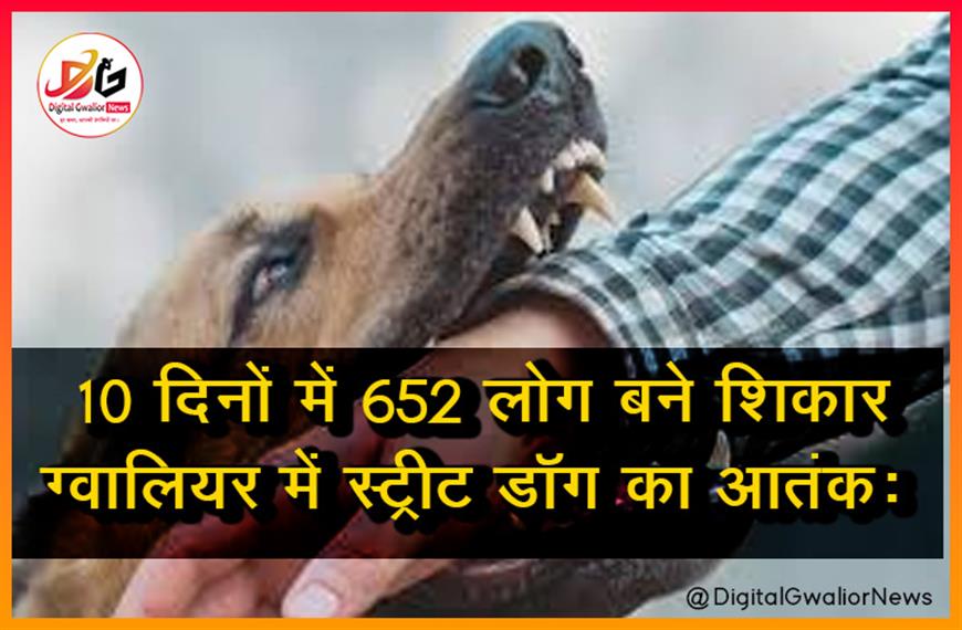 ग्वालियर में स्ट्रीट डॉग का आतंक: 10 दिनों में 652 लोग बने शिकार, निगम की कार्रवाई नाकाफी